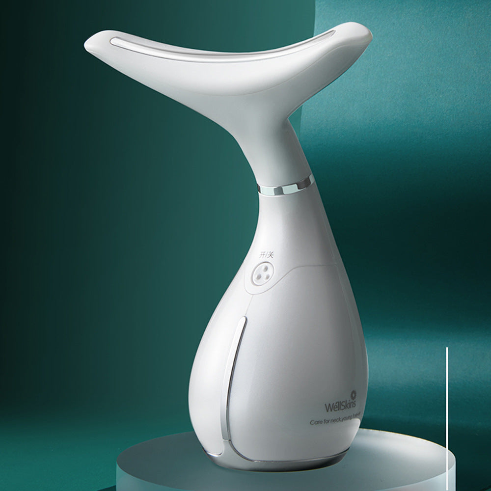 Facial massage instrument